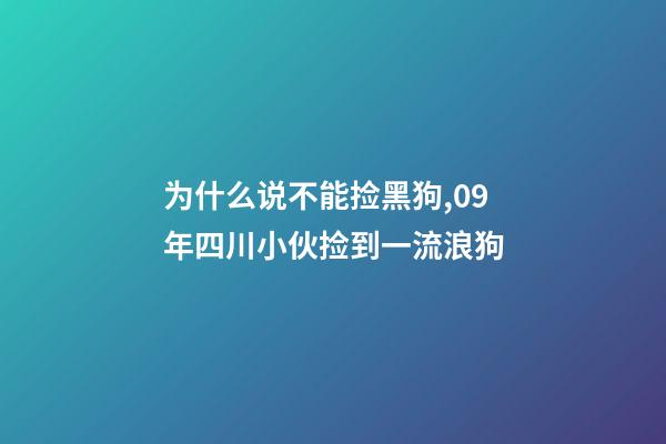 为什么说不能捡黑狗,09年四川小伙捡到一流浪狗-第1张-观点-玄机派