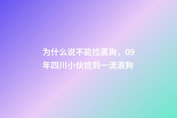为什么说不能捡黑狗，09年四川小伙捡到一流浪狗-第1张-观点-玄机派