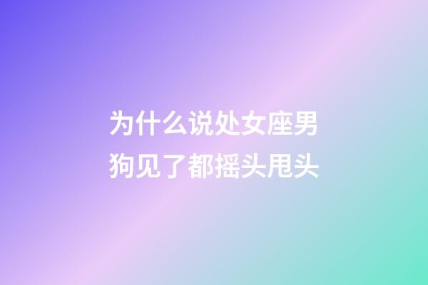 为什么说处女座男狗见了都摇头甩头-第1张-星座运势-玄机派