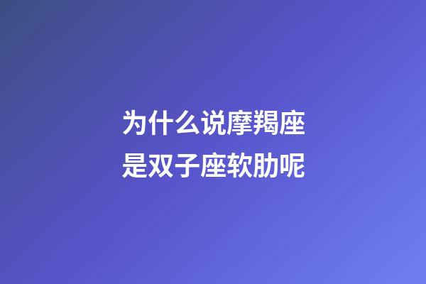 为什么说摩羯座是双子座软肋呢-第1张-星座运势-玄机派
