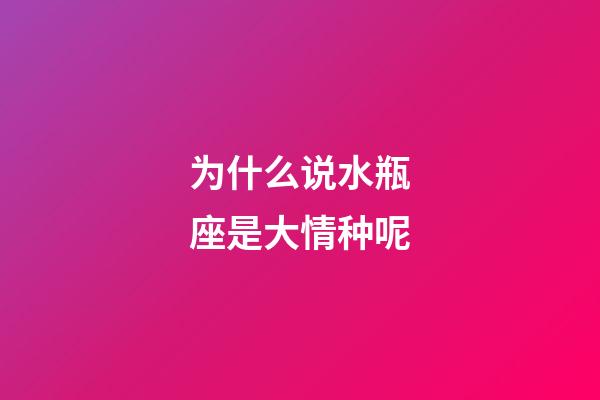 为什么说水瓶座是大情种呢-第1张-星座运势-玄机派