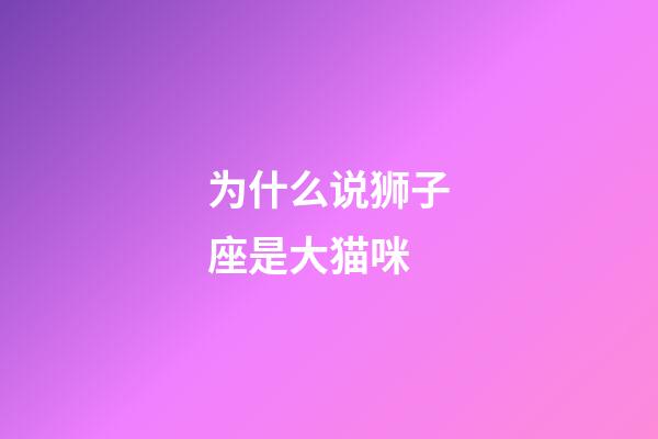 为什么说狮子座是大猫咪-第1张-星座运势-玄机派