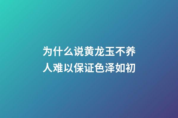 为什么说黄龙玉不养人?难以保证色泽如初