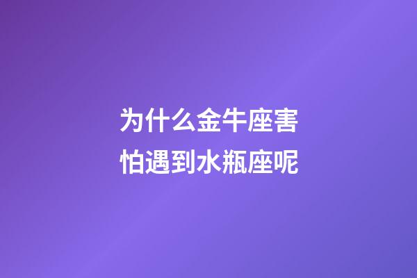 为什么金牛座害怕遇到水瓶座呢-第1张-星座运势-玄机派