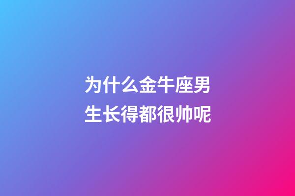 为什么金牛座男生长得都很帅呢-第1张-星座运势-玄机派