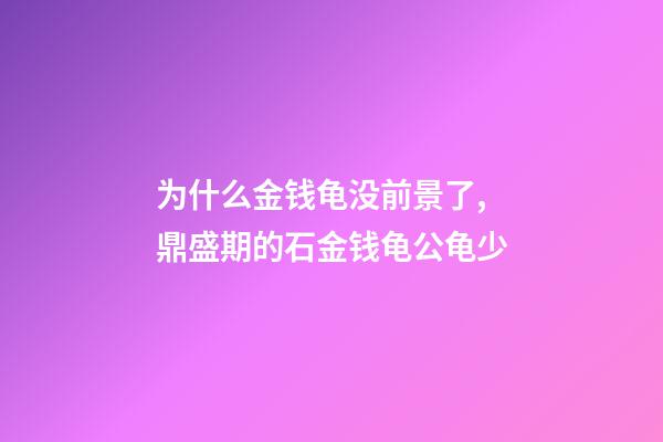 为什么金钱龟没前景了,鼎盛期的石金钱龟公龟少-第1张-观点-玄机派