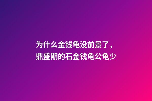 为什么金钱龟没前景了，鼎盛期的石金钱龟公龟少-第1张-观点-玄机派