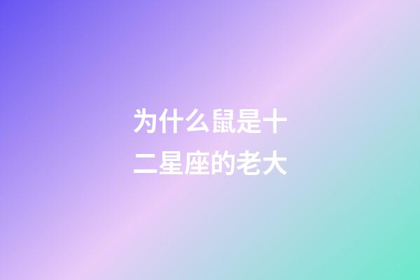 为什么鼠是十二星座的老大-第1张-星座运势-玄机派