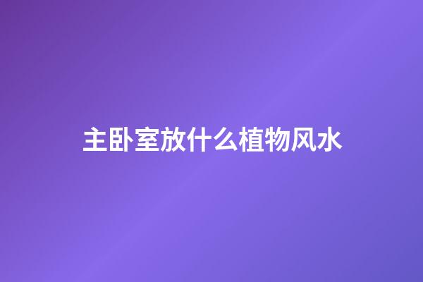 主卧室放什么植物风水