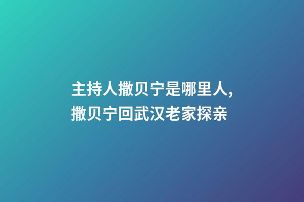 主持人撒贝宁是哪里人,撒贝宁回武汉老家探亲-第1张-观点-玄机派