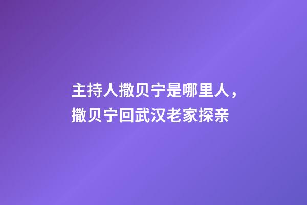 主持人撒贝宁是哪里人，撒贝宁回武汉老家探亲-第1张-观点-玄机派