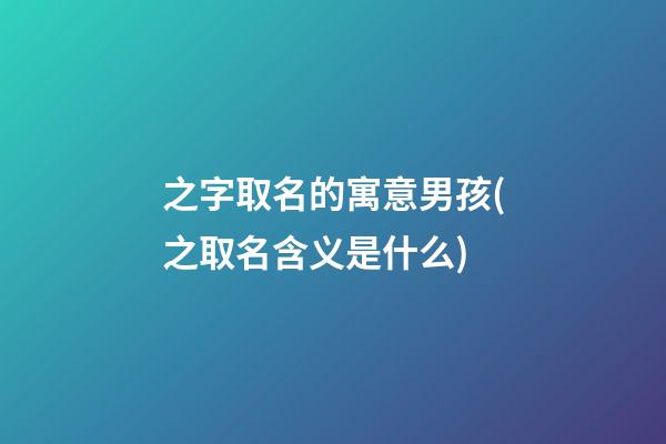 之字取名的寓意男孩(之取名含义是什么)