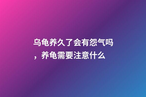 乌龟养久了会有怨气吗，养龟需要注意什么