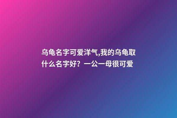 乌龟名字可爱洋气,我的乌龟取什么名字好？一公一母很可爱