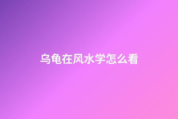 乌龟在风水学怎么看