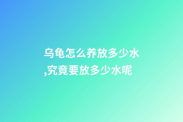 乌龟怎么养放多少水,究竟要放多少水呢-第1张-观点-玄机派