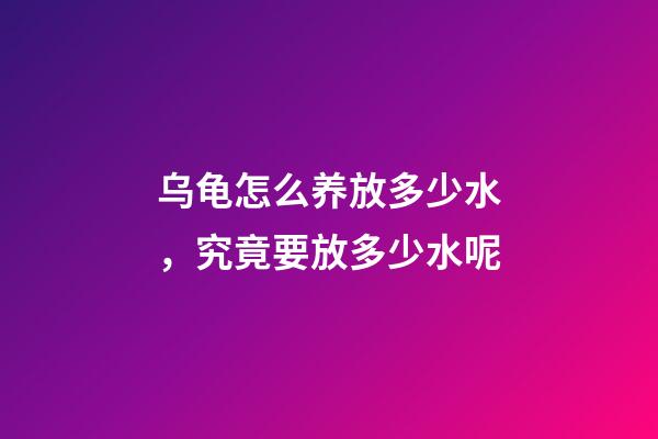乌龟怎么养放多少水，究竟要放多少水呢-第1张-观点-玄机派