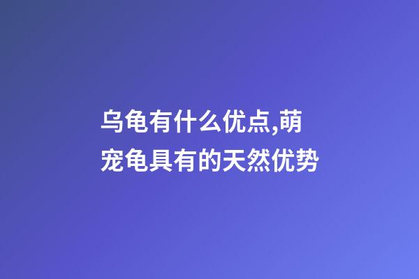 乌龟有什么优点,萌宠龟具有的天然优势-第1张-观点-玄机派