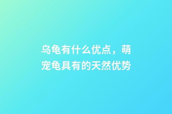 乌龟有什么优点，萌宠龟具有的天然优势-第1张-观点-玄机派