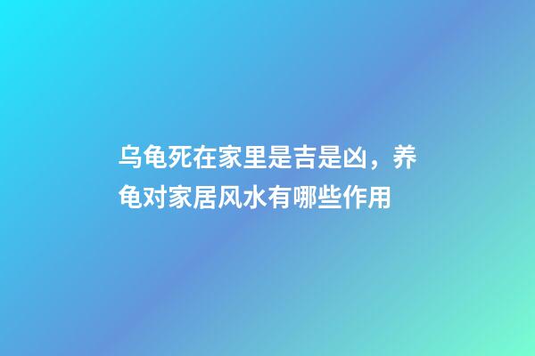 乌龟死在家里是吉是凶，养龟对家居风水有哪些作用
