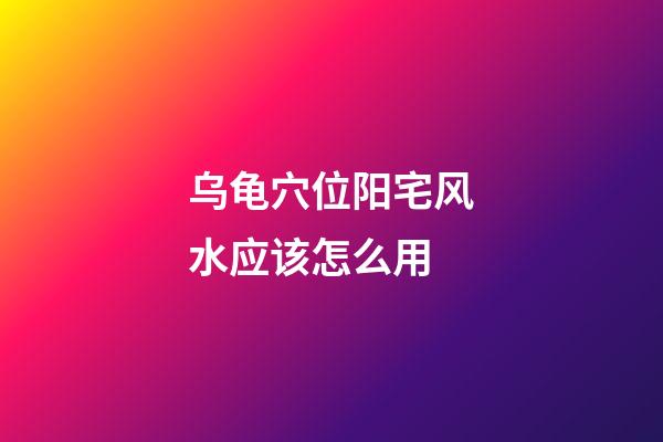 乌龟穴位阳宅风水应该怎么用