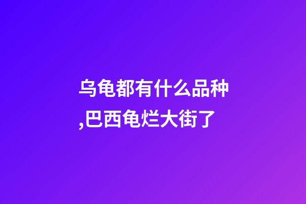 乌龟都有什么品种,巴西龟烂大街了-第1张-观点-玄机派