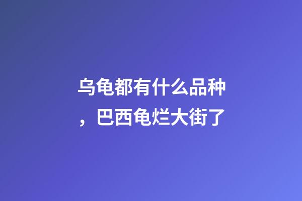乌龟都有什么品种，巴西龟烂大街了-第1张-观点-玄机派