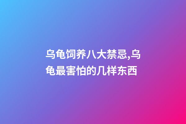 乌龟饲养八大禁忌,乌龟最害怕的几样东西-第1张-观点-玄机派