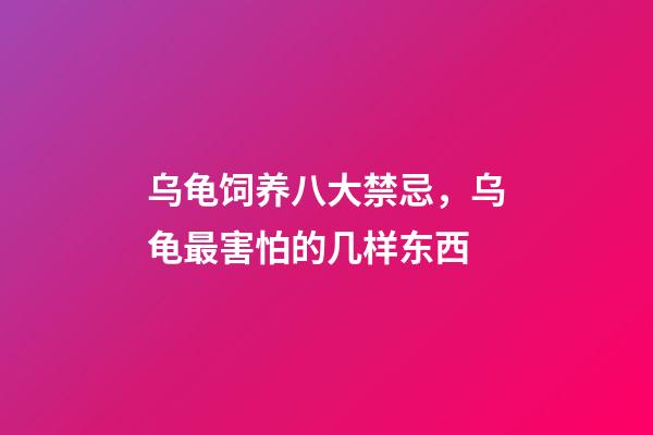 乌龟饲养八大禁忌，乌龟最害怕的几样东西-第1张-观点-玄机派