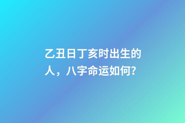 乙丑日丁亥时出生的人，八字命运如何？
