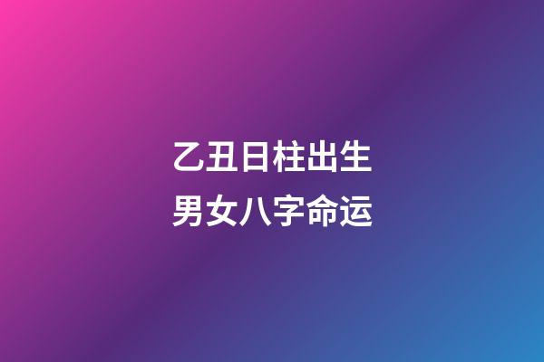 乙丑日柱出生男女八字命运