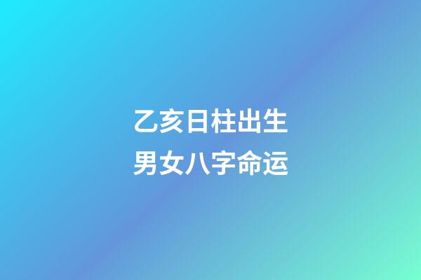 乙亥日柱出生男女八字命运