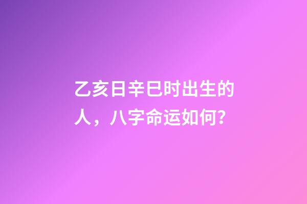 乙亥日辛巳时出生的人，八字命运如何？