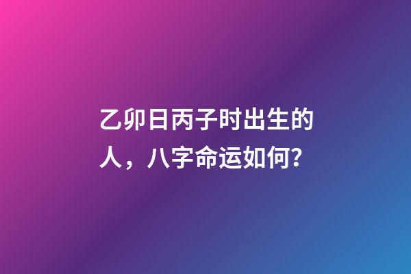 乙卯日丙子时出生的人，八字命运如何？