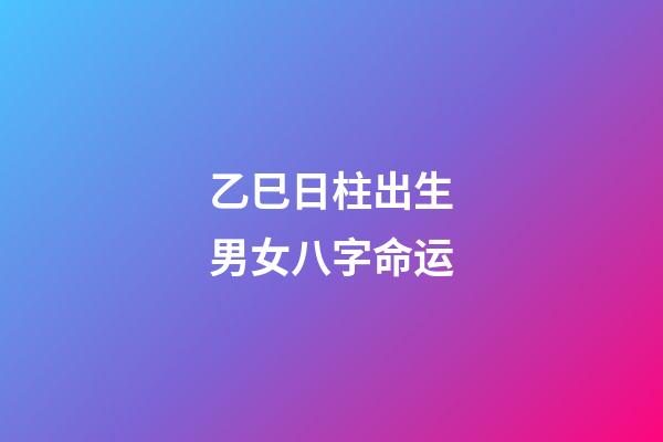 乙巳日柱出生男女八字命运