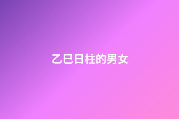 乙巳日柱的男女