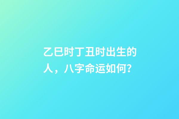 乙巳时丁丑时出生的人，八字命运如何？