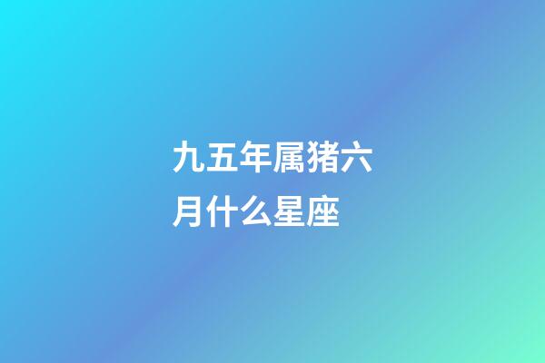 九五年属猪六月什么星座-第1张-星座运势-玄机派