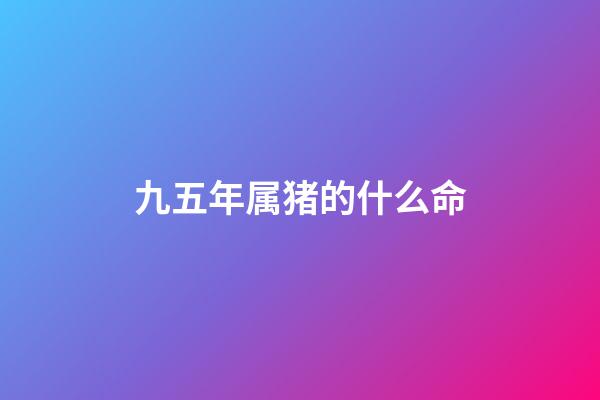 九五年属猪的什么命(风哥的安全日记2)-第1张-观点-玄机派