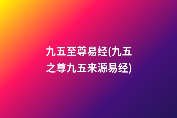 九五至尊易经(九五之尊九五来源易经)