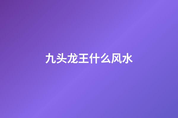 九头龙王什么风水