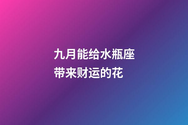 九月能给水瓶座带来财运的花-第1张-星座运势-玄机派