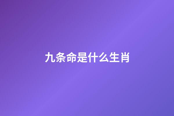 九条命是什么生肖(中国人的年夜饭怎么吃才讲究？福猫金鼠齐上桌，新年全家更多福)-第1张-观点-玄机派