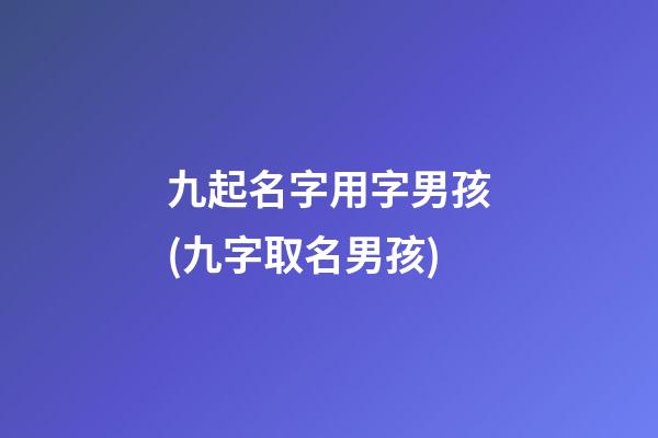九起名字用字男孩(九字取名男孩)