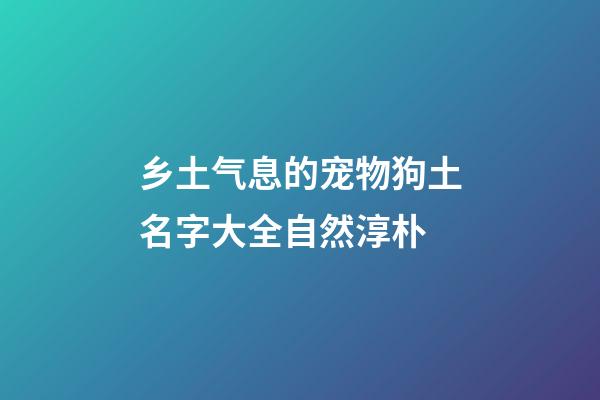 乡土气息的宠物狗土名字大全自然淳朴