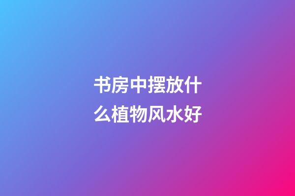 书房中摆放什么植物风水好