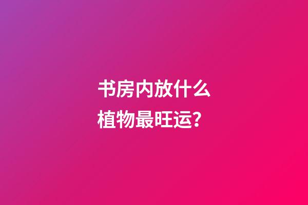 书房内放什么植物最旺运？