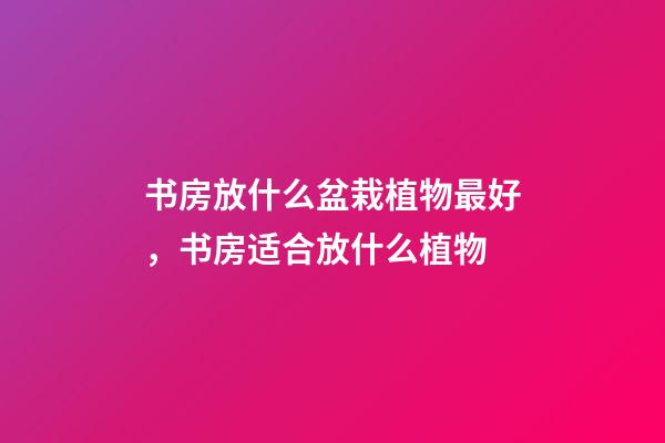 书房放什么盆栽植物最好，书房适合放什么植物