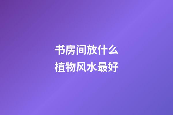 书房间放什么植物风水最好