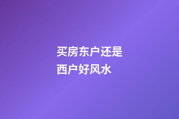 买房东户还是西户好风水
